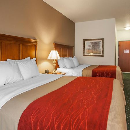Comfort Inn & Suites Davenport - Quad Cities Exterior foto